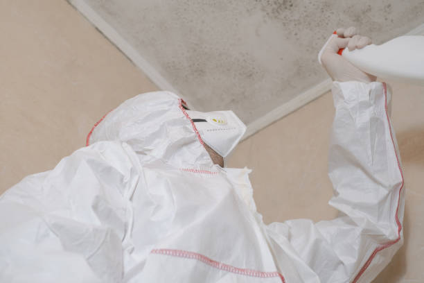 Best Crawl Space Mold Removal  in Cotati, CA